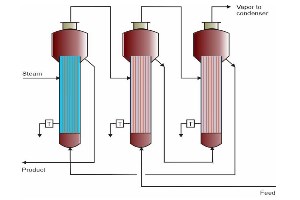 Physical, Chemical and Biological Aspects of Water 