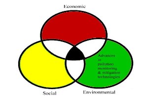 Introduction to Sustainable Development