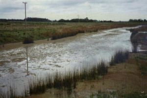 Water Interactions with Energy, Environment, Food, and Agriculture