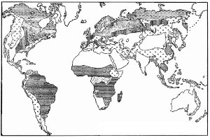 Coal, Oil Shale, Natural Bitumen, Heavy Oil and Peat