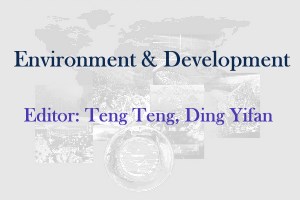 Environment and Development