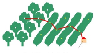 Systems Analysis and Modeling in Food and Agriculture