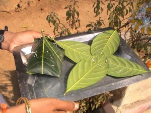 SHAAKAPAAKAM: Vegetarian Food of Telugu (Andhra) Draavida Community of South India - Culinary, Nutritional, Medicinal and Cultural Aspects