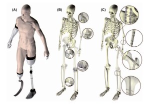 Biomechanics