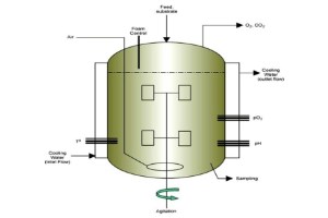 Methods in Biotechnology