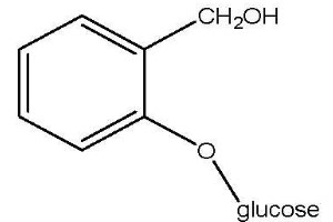 Several Important Medicinal Plants, Comparative Analysis of Bioactive Compounds of Total Phenolic and Flavonoids Content