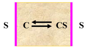 Thermodynamics and Biological Systems