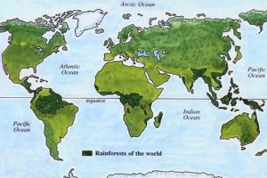 Human Impact on Tropical Ecosystems