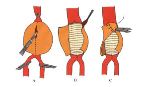 Medical Sciences