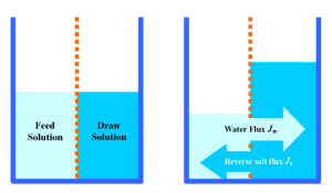 Desalination By Forward Osmosis: Failure, Success, and Future Expectations