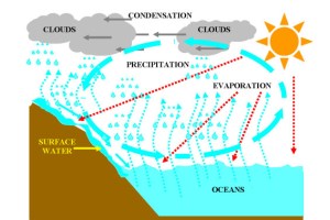 Energy and Exergy Performance Analysis of an Evacuated Multi-Stage Solar Water Desalination System