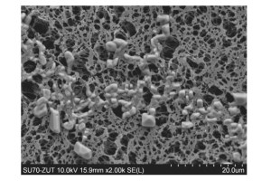 Wetting Phenomena In Membrane Distillation For Seawater Desalination