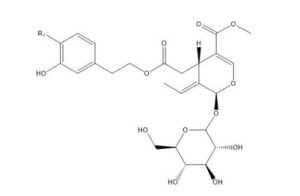 Phytochemistry of Olive-Leaf Extracts and Medicinal Properties